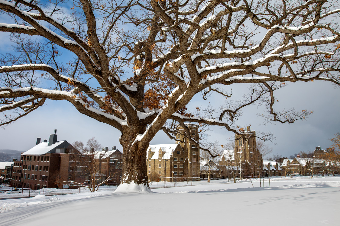 Winter on Cornell Campus