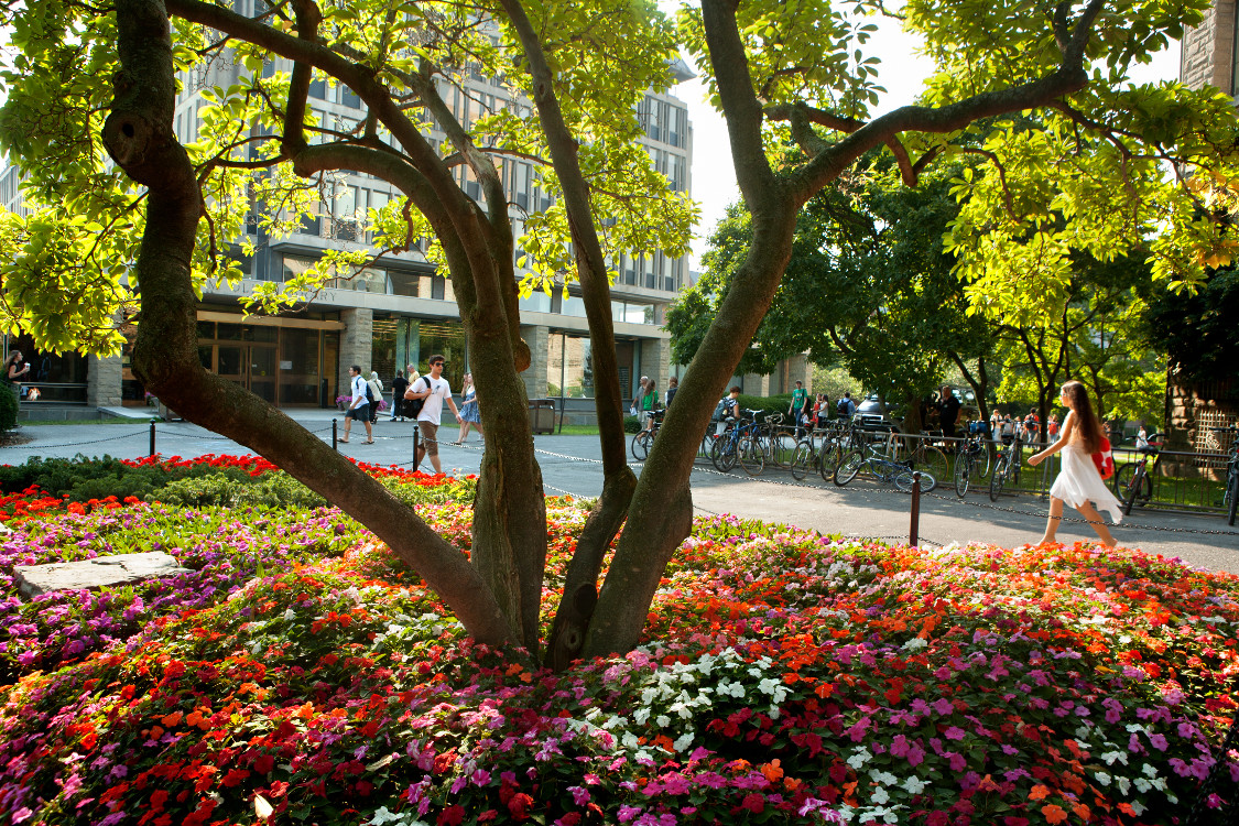 Students walking in springtime